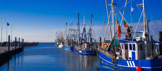 Ferienimmobilie kaufen an der Wurster Nordseeküste
