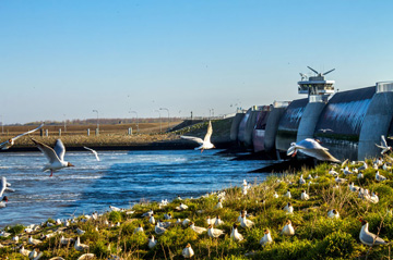 Ferienwohnung kaufen Nordsee Eidersperrwerk