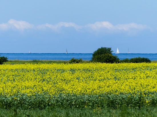 Ferienimmobilie auf Fehmarn kaufen